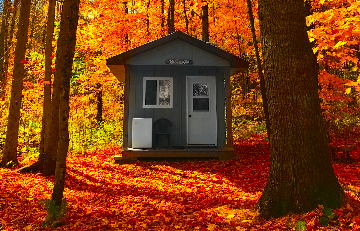 Algonquin Park